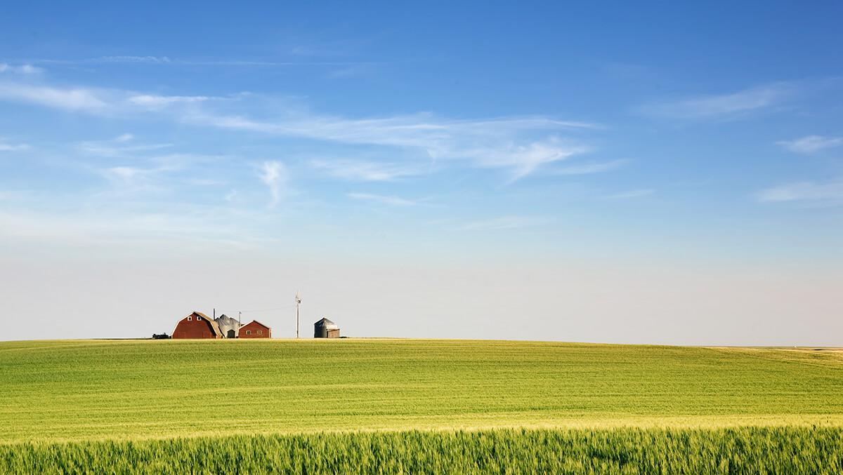 SBA releases guidance on PPP continued access program
