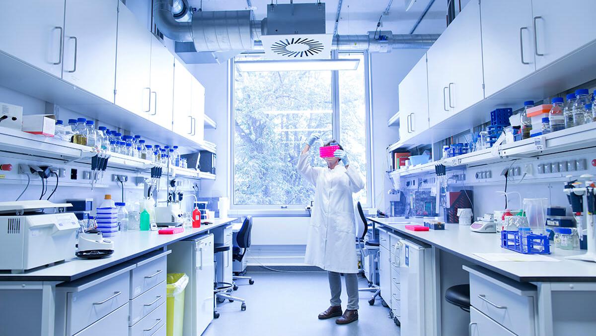 Disease and Outbreak Management Solution webcast